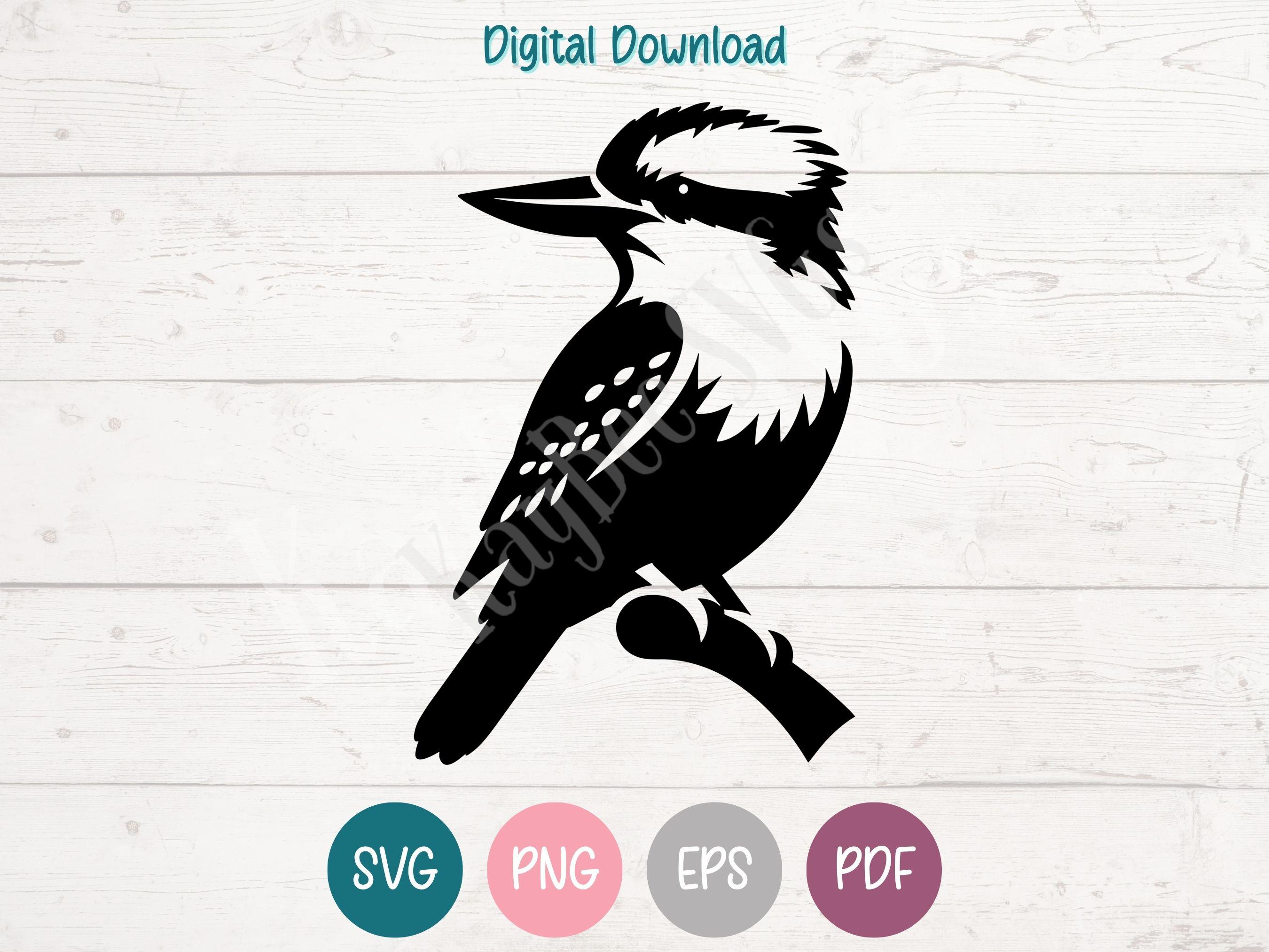 Kookaburra Bird SVG PNG Clipart Cut Files for Cricut, Silhouette