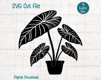 Alocasia Blatt Clipart, Elefantenohr Pflanze Silhouette Grafiken, exotische  tropische Zimmerpflanze, einfache Sublimation geschnitten Dateien, Download  SVG PNG - Etsy sterreich