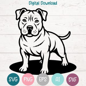 Archivos de corte SVG PNG de American Staffordshire Terrier Pitbull para Cricut, Silhouette, grabado láser e impresión por sublimación.
