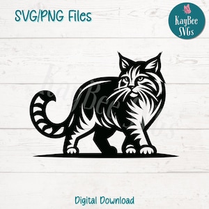 Wildcat SVG PNG Cut Files for Cricut & Silhouette, Digital Download Clipart for Sublimation, Laser Engraving, Commercial Use