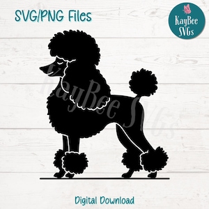 Poodle Silhouette SVG PNG Cut Files for Cricut, Silhouette Digital Download, Laser Engraving, Sublimation Printable, Commercial Use Clipart