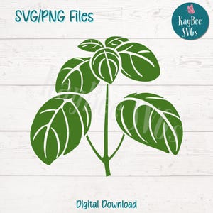 Peut inclure: Illustration d'une plante verte avec de grandes feuilles arrondies et une tige centrale. L'image comprend le texte "SVG/PNG Files" en haut et "Digital Download" en bas. Un logo circulaire avec un papillon est dans le coin supérieur droit.