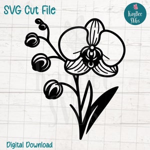 Orchid Flower SVG PNG Cut Files for Cricut, Silhouette Digital Download, Laser Engraving, Sublimation Printable, Commercial Use Clipart