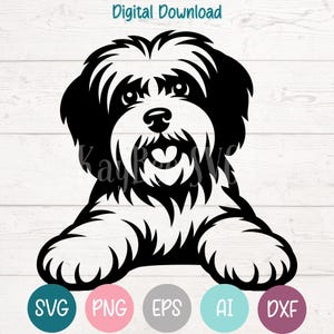 Archivos de corte SVG PNG de perro Lowchen para Cricut, descarga digital de Silhouette, grabado láser, impresión por sublimación, imágenes prediseñadas para uso comercial
