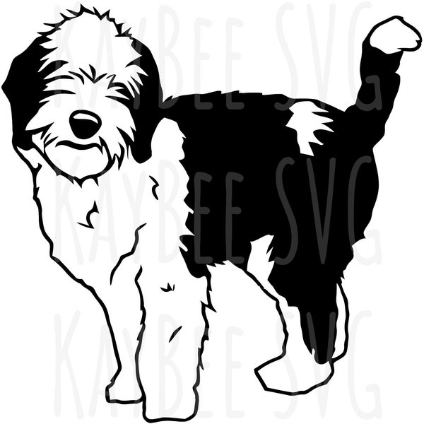 Sheepadoodle Dog SVG PNG JPG Clipart Digital Cut File Download for Cricut Silhouette Sublimation Printable Art - Commercial Use