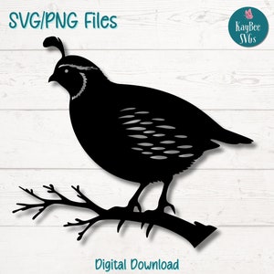 Quail Bird SVG | PNG Cut Files for Cricut, Silhouette, Digital Download, Printable Clipart, Commercial Use Clip Art, Sublimation