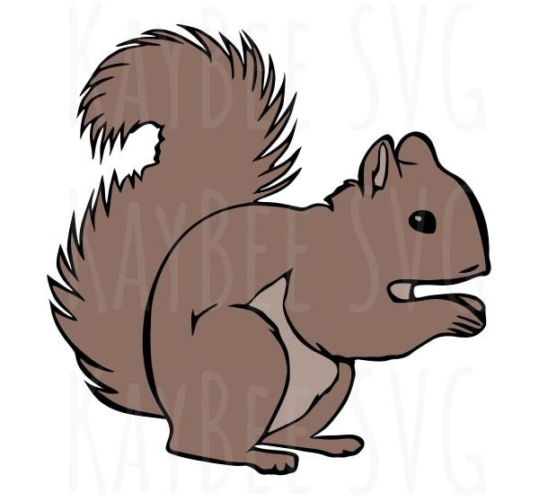 Squirrel SVG PNG JPG Clipart Digital Cut File Download for - Etsy UK