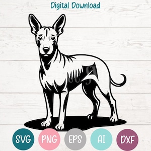 Archivos de corte SVG PNG de perro xoloitzcuintle mexicano para Cricut, descarga digital de silueta, grabado láser, impresión por sublimación, imágenes prediseñadas para uso comercial