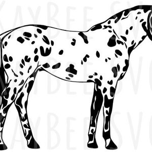 Appaloosa Spotted Horse SVG PNG JPG Clipart Digital Cut File Download for Cricut Silhouette Sublimation Printable Art - Commercial Use