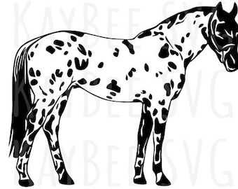 Instant Download SVG: Appaloosa Horse Image for Cricut, Silhouette