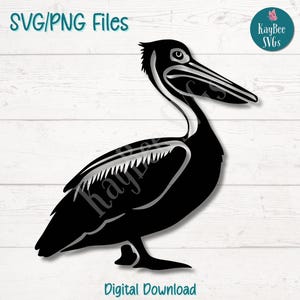 Pelikan Vogel SVG PNG Schnittdateien für Cricut, Silhouette digitaler Download, Lasergravur, Sublimation druckbar, kommerzielle Nutzung Clipart