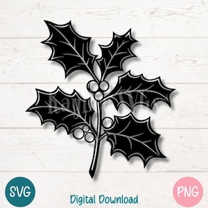 Hulst geboorte bloem SVG, december bloemen clipart PNG, kerstbladeren gesneden bestand voor Cricut, sublimatie, lasergravure, afdrukbare illustraties