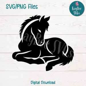 Slapen veulen SVG PNG schattige baby paard clipart voor boerderij en dierenliefhebber ambachten | Snijbestand voor cricut, silhouet, lasergravure en sublimatie