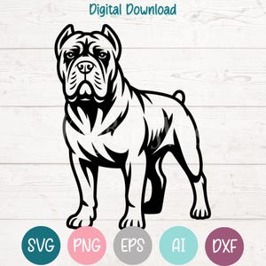 Cane Corso hond SVG PNG-bestanden knippen voor Cricut, silhouet digitale download, lasergravure, afdrukbare sublimatie, commercieel gebruik clipart