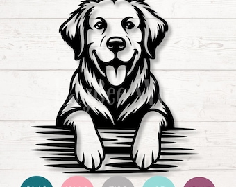 Retrato de golden retriever SVG, PNG, archivo vectorial (descarga digital)