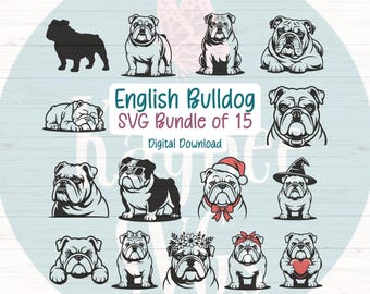 English Bulldog SVG Bundle – 15 Cut Files, Commercial Use (Digital)