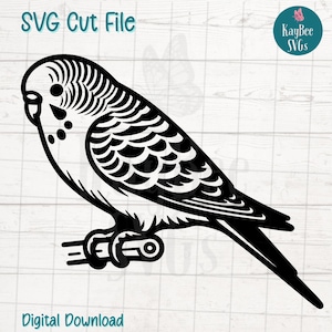 Budgie parkiet vogel SVG digitale snijbestanden voor de Cricut, silhouet, gravure, sublimatie, afdrukbare kunst, T-shirt, mok pers-commercieel gebruik