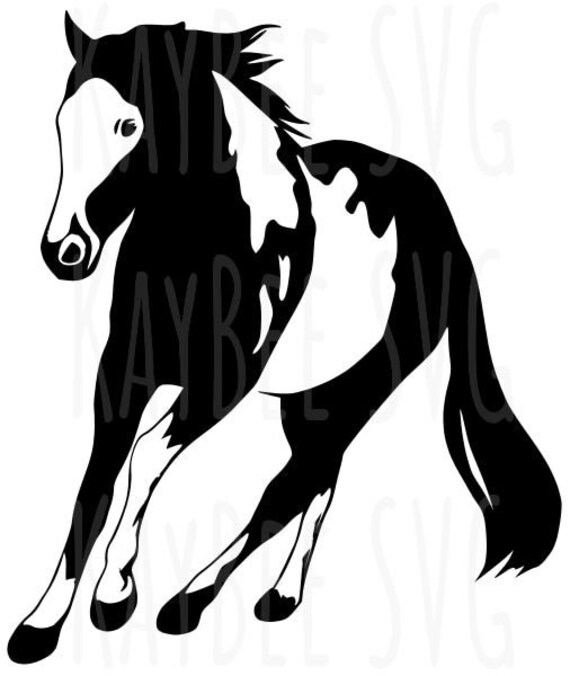 American Paint Horse SVG PNG JPG Clipart Digital Cut File Etsy