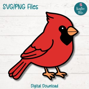 Süßer Kardinalvogel SVG | PNG-Schnittdateien für Cricut, Silhouette, digitaler Download, druckbare Clipart, kommerzielle Nutzung Clip Art, Sublimation