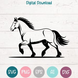 File di taglio SVG PNG del cavallo islandese per Cricut, Silhouette digitale da scaricare, incisione laser, stampa a sublimazione, clipart per uso commerciale