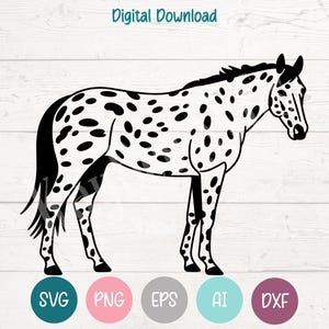 Appaloosa Horse SVG PNG Cut Files for Cricut, Silhouette Digital Download, Laser Engraving, Sublimation Printable, Commercial Use Clipart