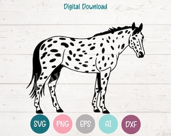 Fichiers de coupe PNG SVG Appaloosa Horse pour Cricut, téléchargement numérique Silhouette, gravure laser, impression par sublimation, clipart pour usage Commercial