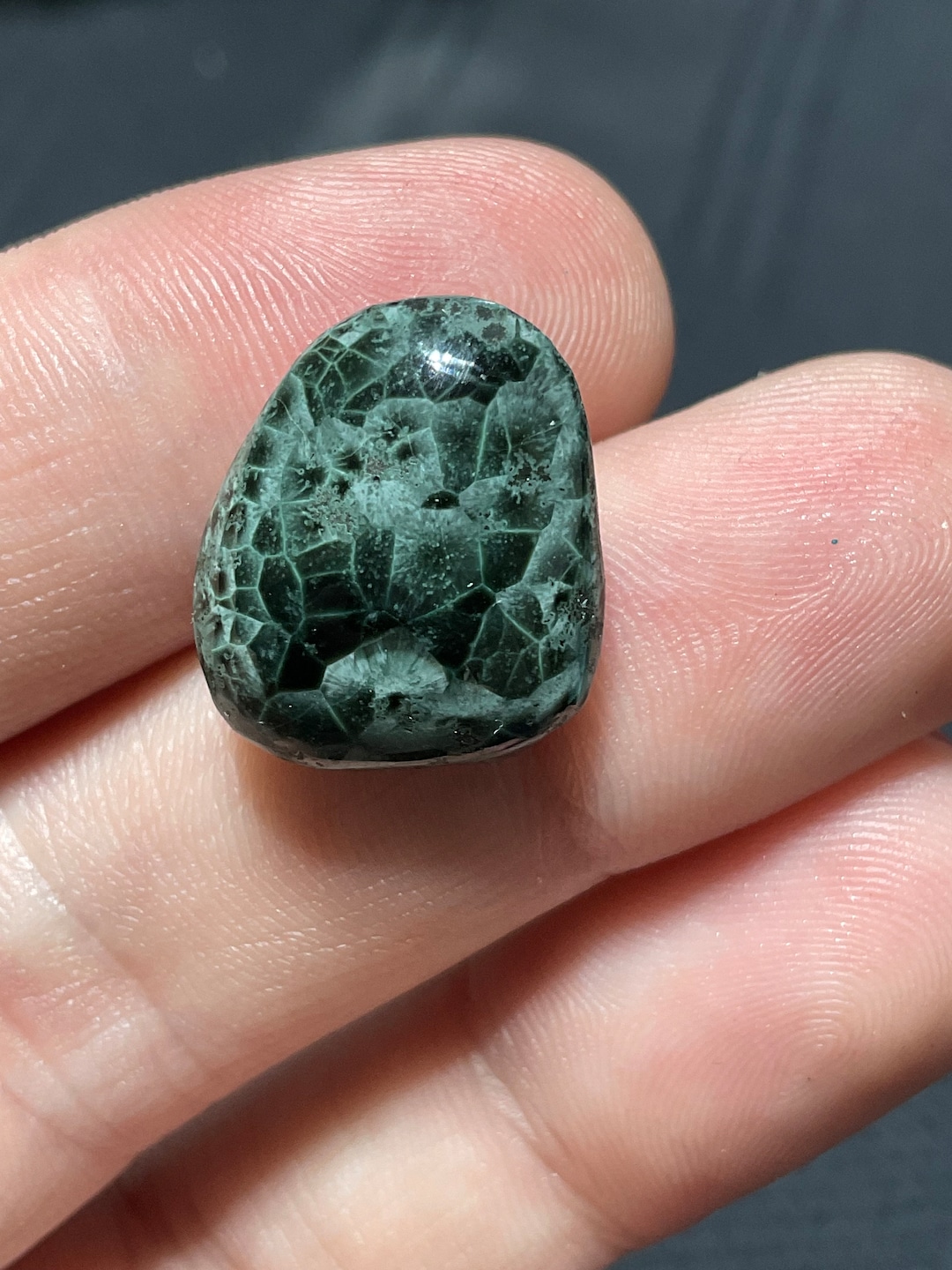 Isle Royale Greenstone, Chlorastrolite Gem Large RARE Polished, Amazing