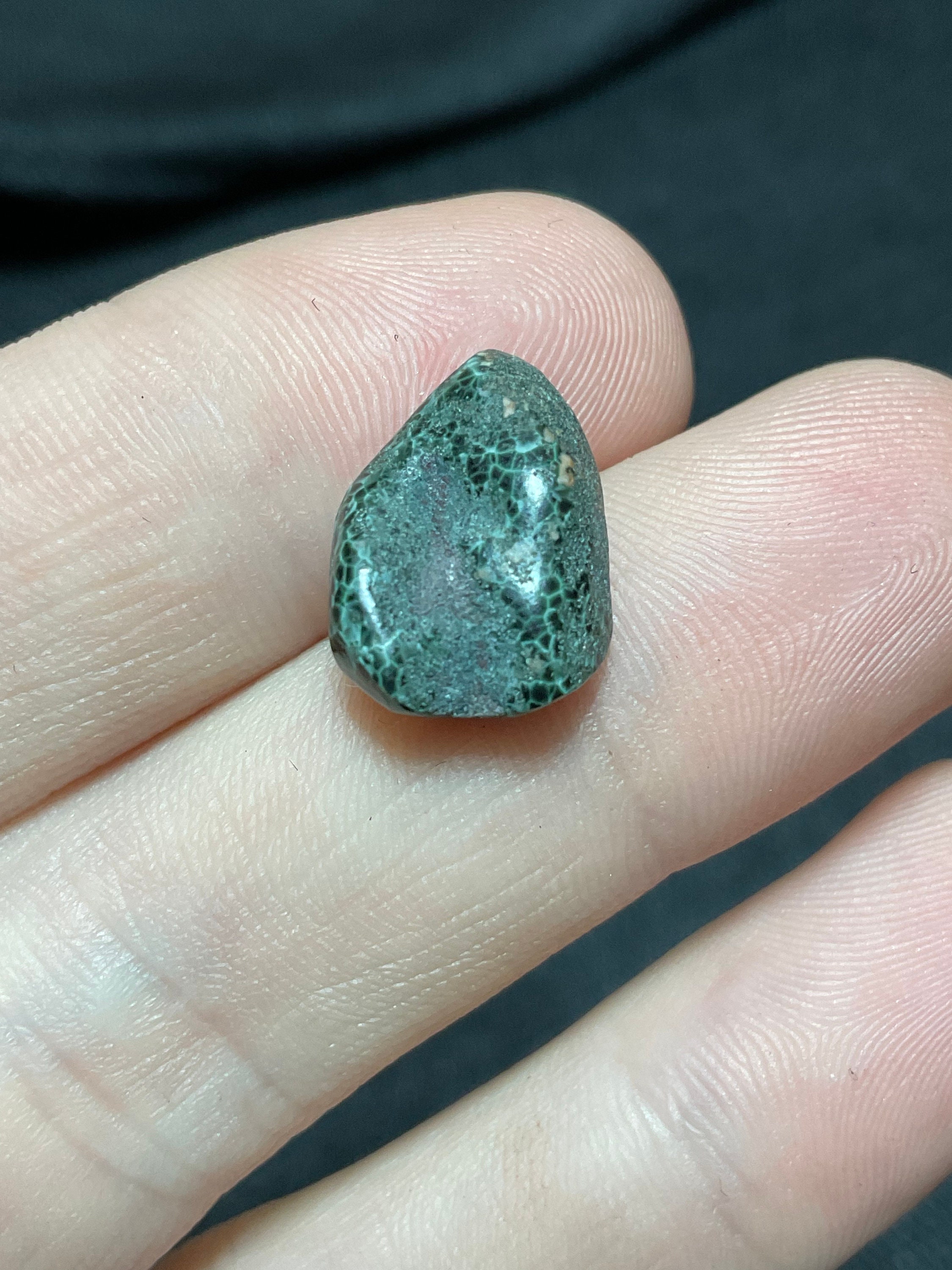 Isle Royale Greenstone Chlorastrolite Gem RARE Color Polished Amazing