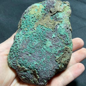May include: A rough-textured rock with a mix of colors, including deep purple, vibrant green, and patches of brown. The rock's surface has a granular appearance, with areas of raised texture. The overall shape is irregular, with a natural, organic form.