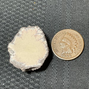May include: A close-up of a white and brown rock formation with a rough texture. The rock is about the size of a US penny, which is shown for scale.