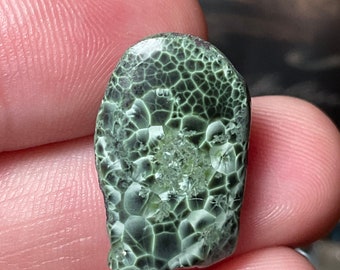 Huge Isle Royale Greenstone, Chlorastrolite, Gem RARE color polished amazing specimen
