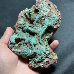 May include: A natural, irregularly shaped rock with a textured surface. The rock features a mix of colors, including teal, brown, and maroon. The rock is held in a hand, showcasing its unique shape and color variations. Ideal for home decor or crafting.