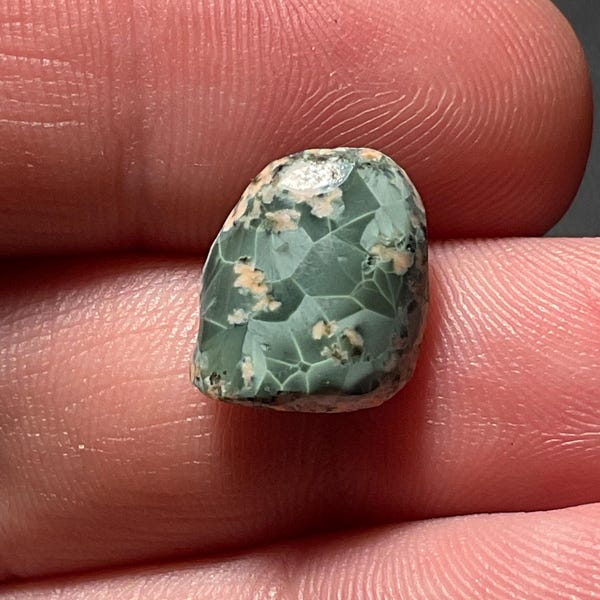 Isle Royale Greenstone #16, Chlorastrolite Gem RARE polished amazing specimen, large Greenstone rare pink prehnite florets