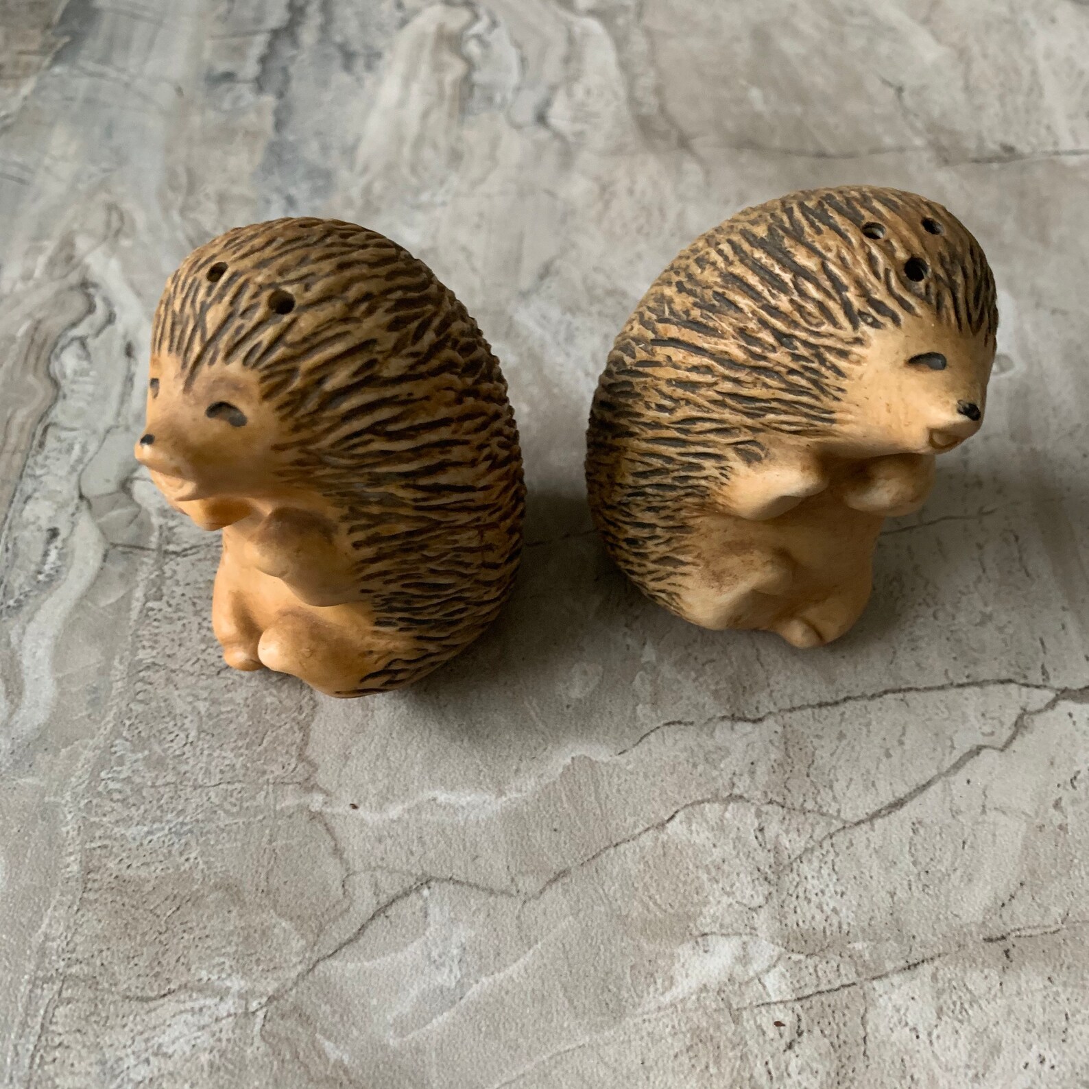 Super cute hedgehog salt & pepper shakers Etsy