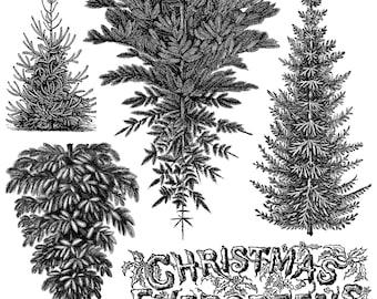 Winter Grove IOD Stamp | 12x12 Evergreen Tree Decor Stamp Sheet by Iron Orchid Designs | Woodland Christmas Background Stamp with Masks