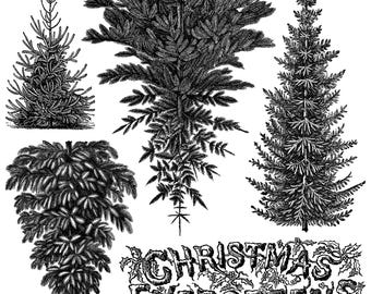 Winter Grove IOD Stamp | 12x12 Evergreen Tree Decor Stamp Sheet by Iron Orchid Designs | Woodland Christmas Background Stamp with Masks