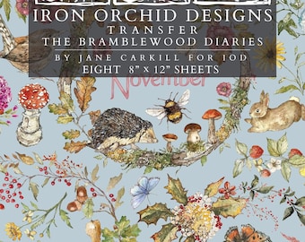 The Bramblewood Diaries IOD Transfer | 8x12 Woodland Botanical Decor Transfer by Iron Orchid Designs | Vintage Nature & Seasonal Rub-On Tran