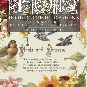 May include: A vintage-style sheet of transfer designs featuring floral and bird illustrations. The design includes the text "IRON ORCHID DESIGNS" and "FLOWERS BY THE POETS". The sheets measure 12" x 16" and include a poem about summer.