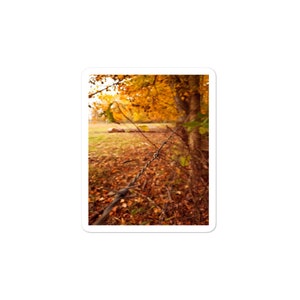 Autocollants sans bulles Fenceline d’automne