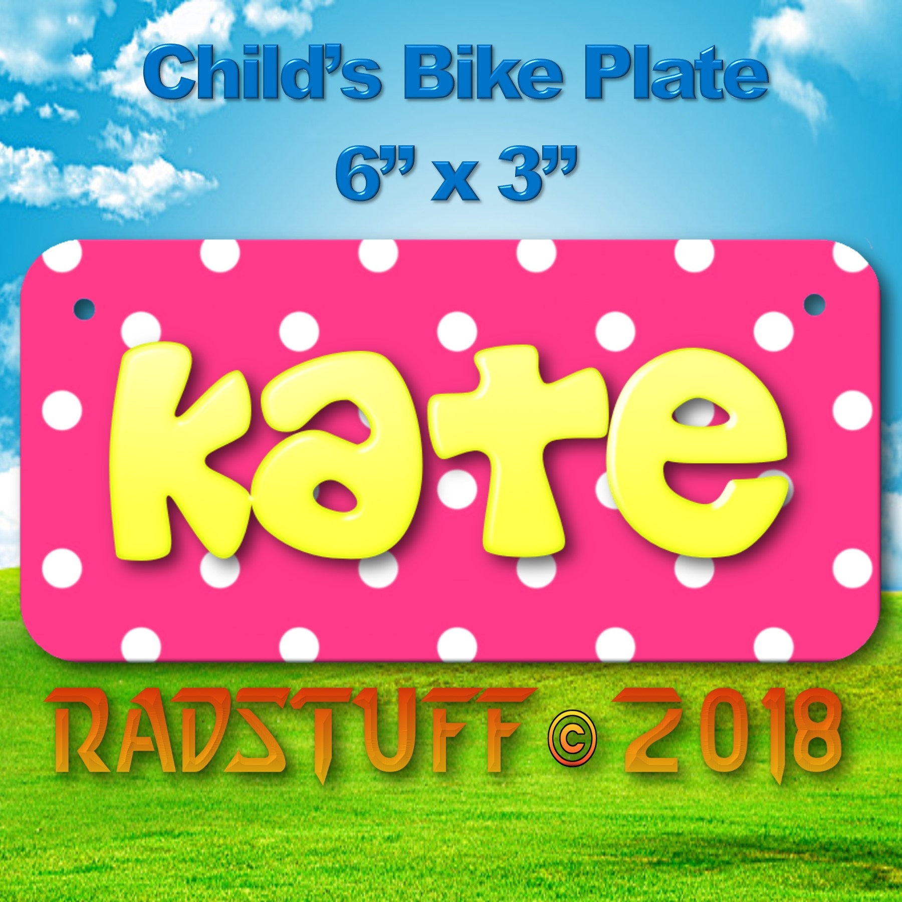 Bicycle license plate Louisiana design any name new custom personalized
