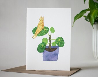 Pannenkoekenplant | Wenskaart van origineel aquarelschilderij voor verjaardag, Moederdag, Valentijnsdag of gewoon om hallo te zeggen