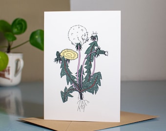 Pissenlit | Carte de voeux pour toutes les occasions avec une illustration de chat montrant un dessin botanique d'un pissenlit avec des chats blancs duveteux cachés