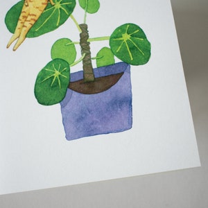 Pancake Plant Greeting Card of original watercolor painting for Birthday, Mother's Day, Valentines Day or just to say hello image 5
