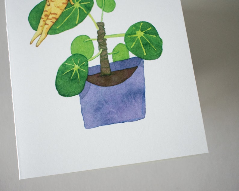 Pancake Plant Greeting Card of original watercolor painting for Birthday, Mother's Day, Valentines Day or just to say hello image 5