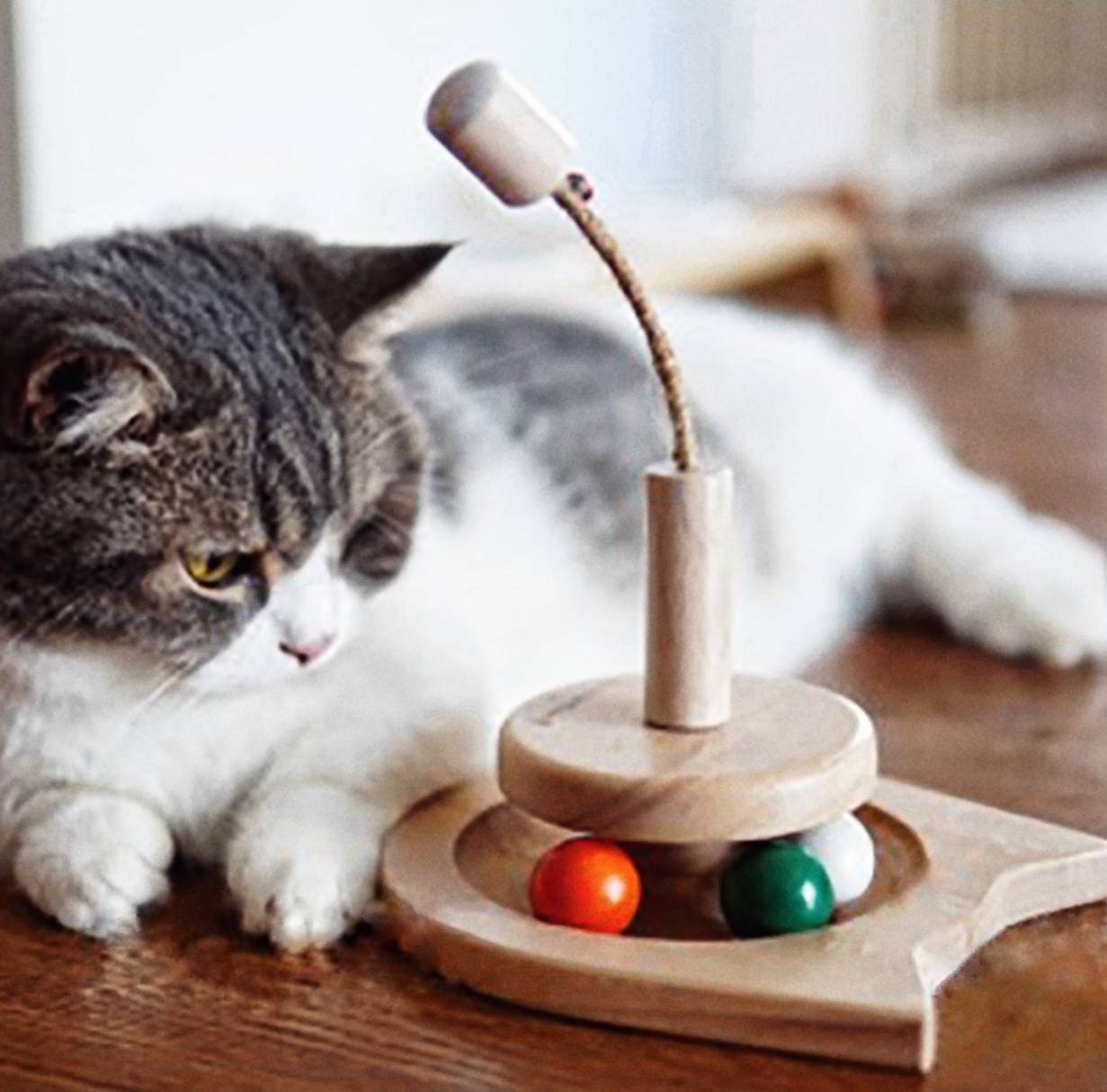 unique cat toys