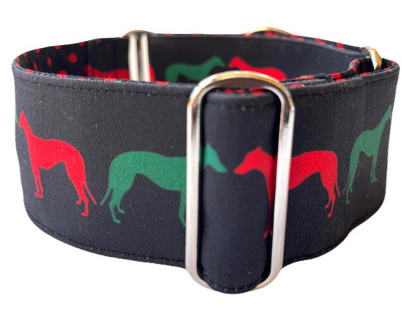 Martingale Collar, Hound Collection, or 2” Dog Collar, Leads