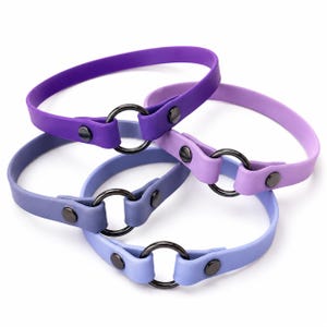 The Purples - Biothane House Collar, Elegant, Lightweight, Waterproof ID Tag Collar
