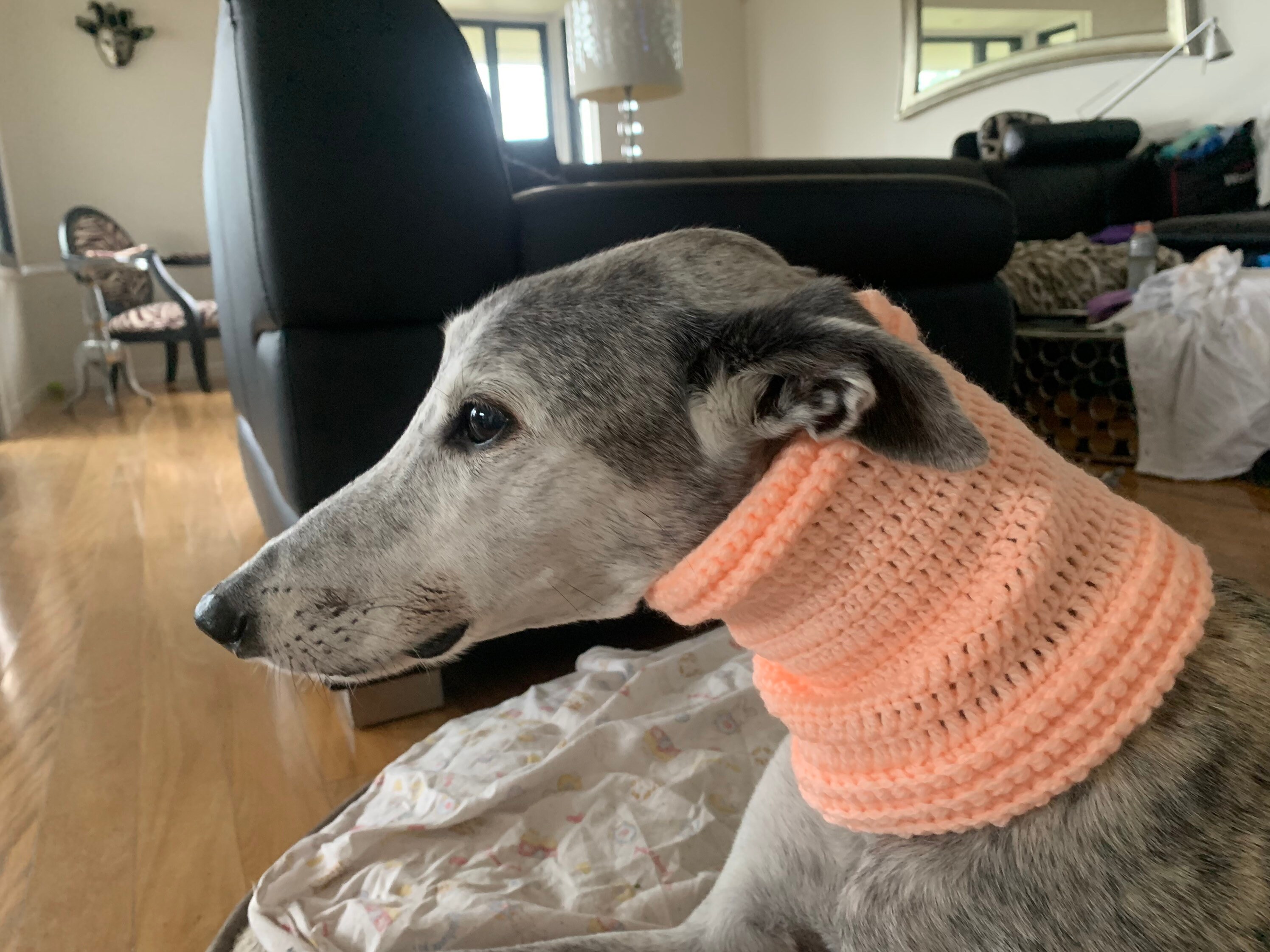 Greyhound Neck Warmer Various Etsy Australia