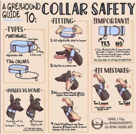 No slip dog collars sale