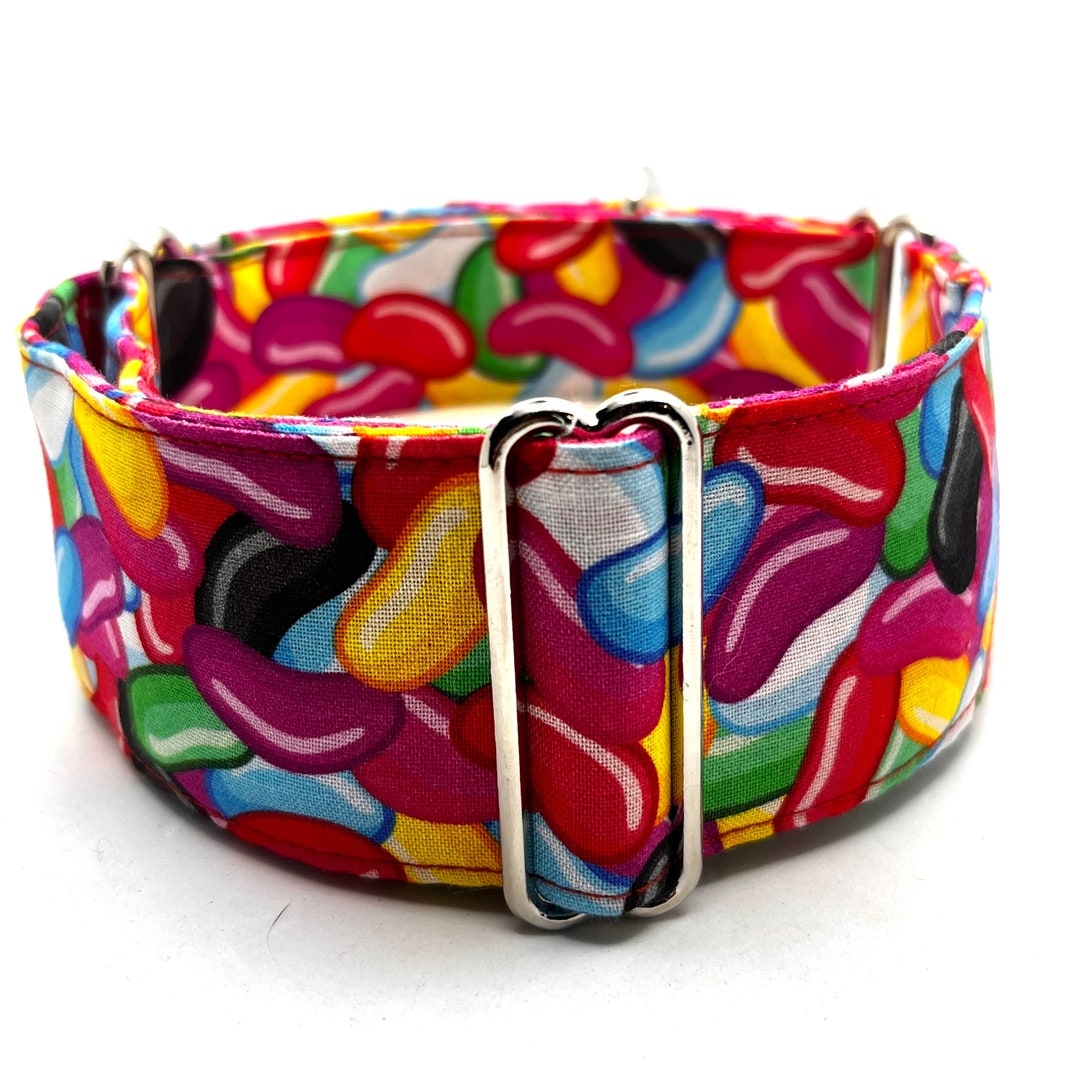 Martingale Collar or Matching House Collar Lead Sets, Martingale